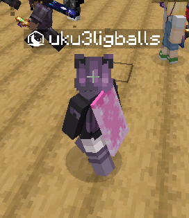 Screenshot of Minecraft gameplay, with every player’s nametag having ‘balls’ appended